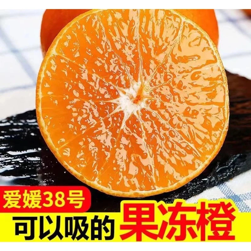 【W2坏果包赔】正宗四川爱媛38号果冻橙新鲜当天采摘手工精心挑选
