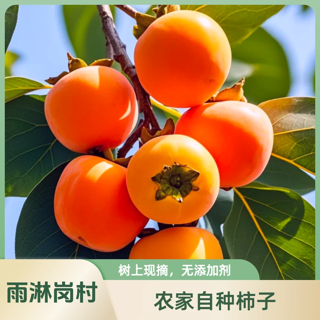雨淋岗村农家自种柿子（发12颗中果）