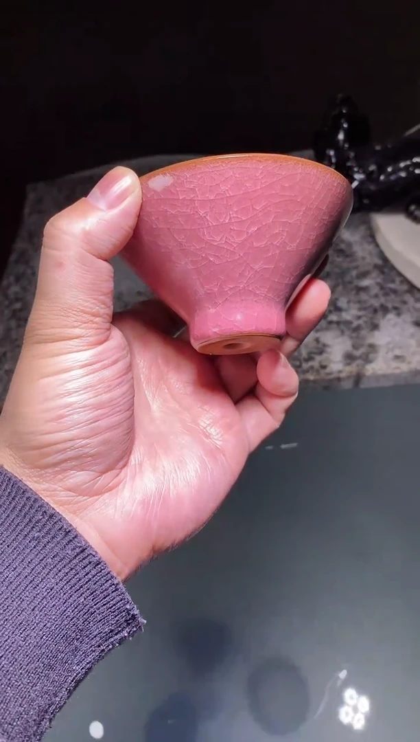 【闪购商品】主人杯缤纷
