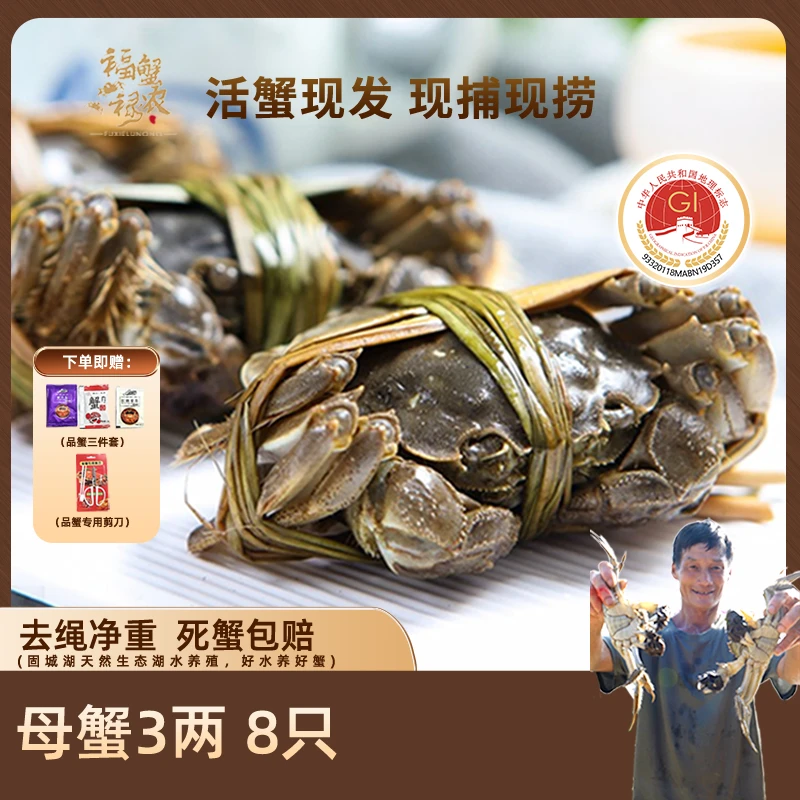 【活蟹现发】2.9-3.1两母蟹8+2到手10只 地理标志保护蟹