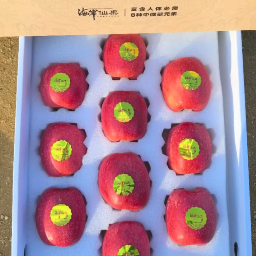 海岸仙果瑞香红有机苹果高端精品果国色天香色泽艳丽高桩生态绿色