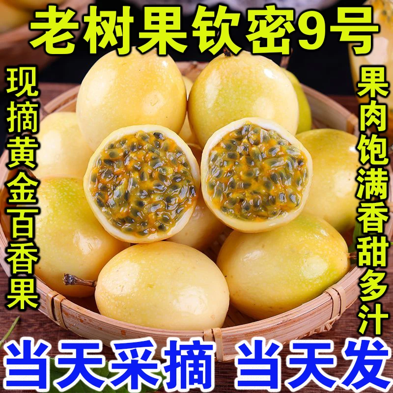 【正宗】钦蜜9号香甜黄金百香果新鲜现摘现直发南博湾鲜果当季水果