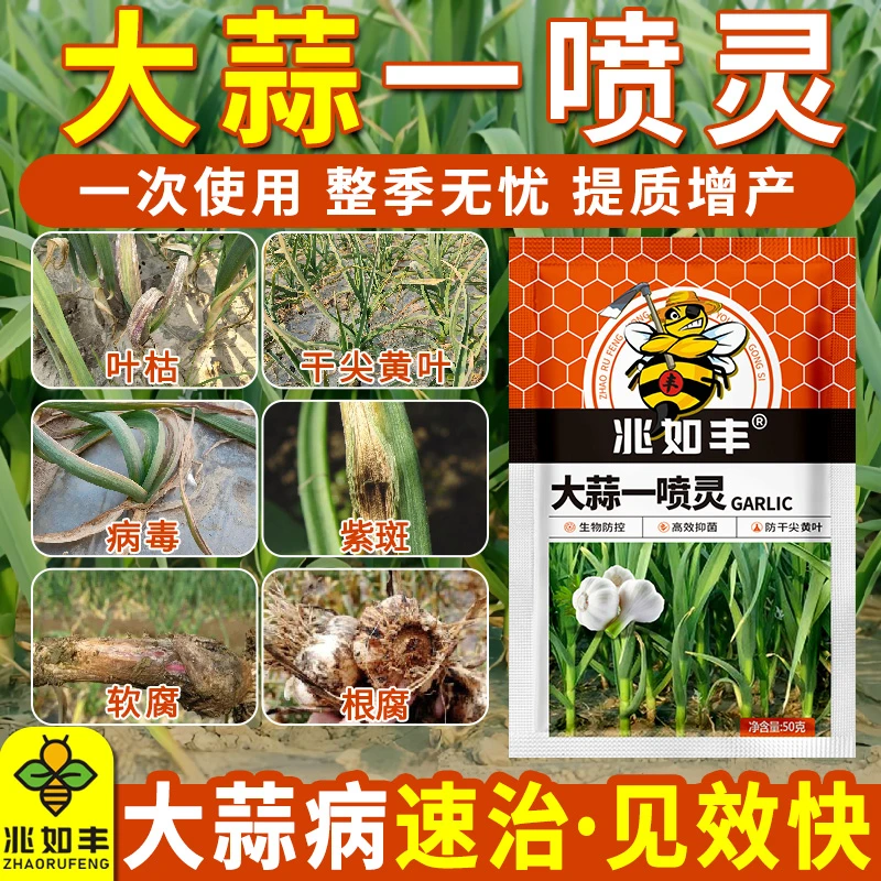 兆如丰大蒜一喷灵大蒜病菌净干尖黄叶根腐软腐叶枯紫斑锈病等肥料