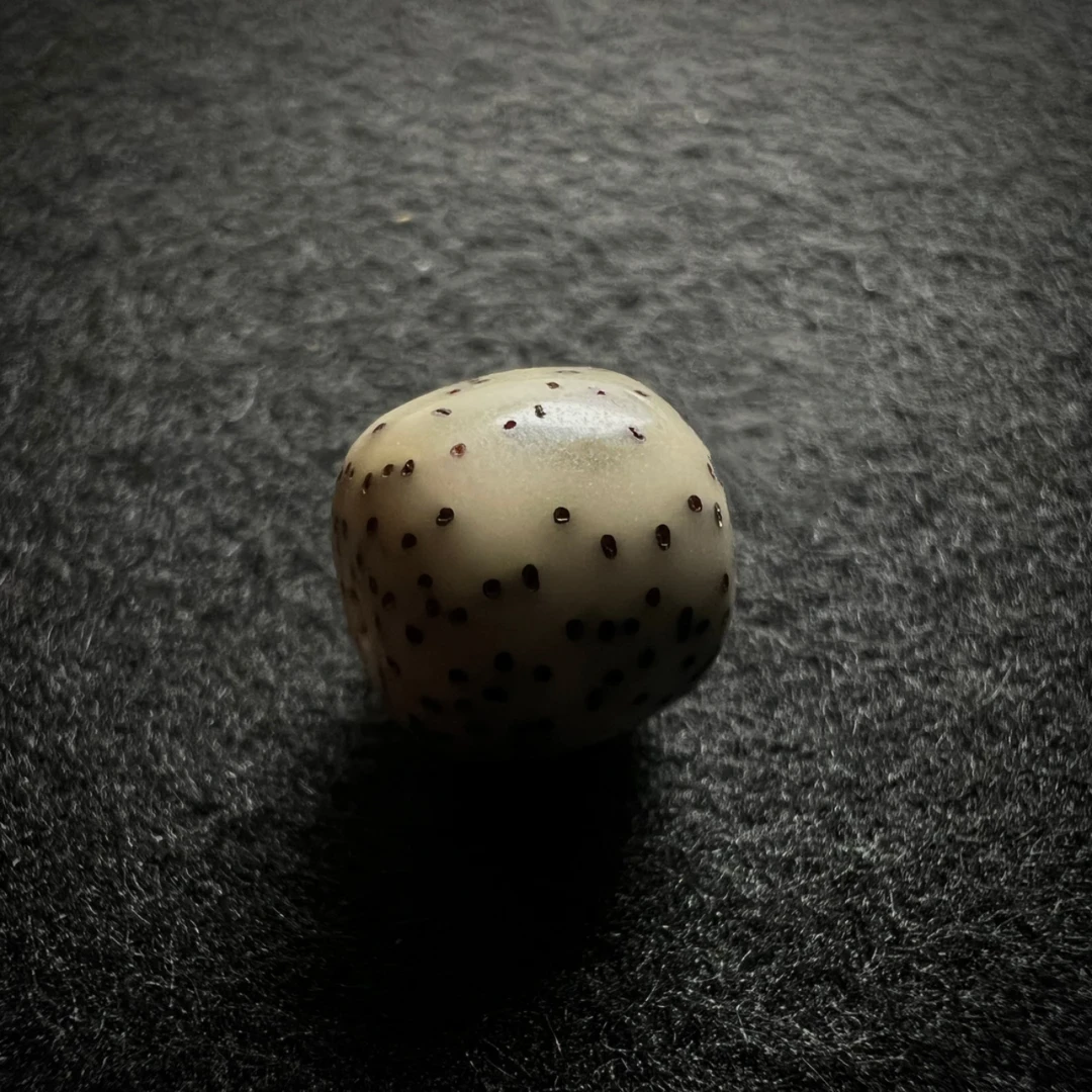 J29 星月菩提文玩手串