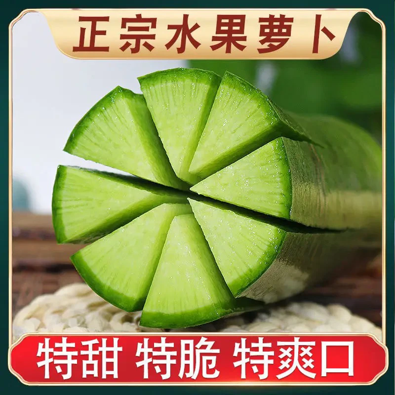 【正宗】水果萝卜甜脆水果型潍坊萝卜新鲜生吃青凤梨潍县冰淇淋萝卜