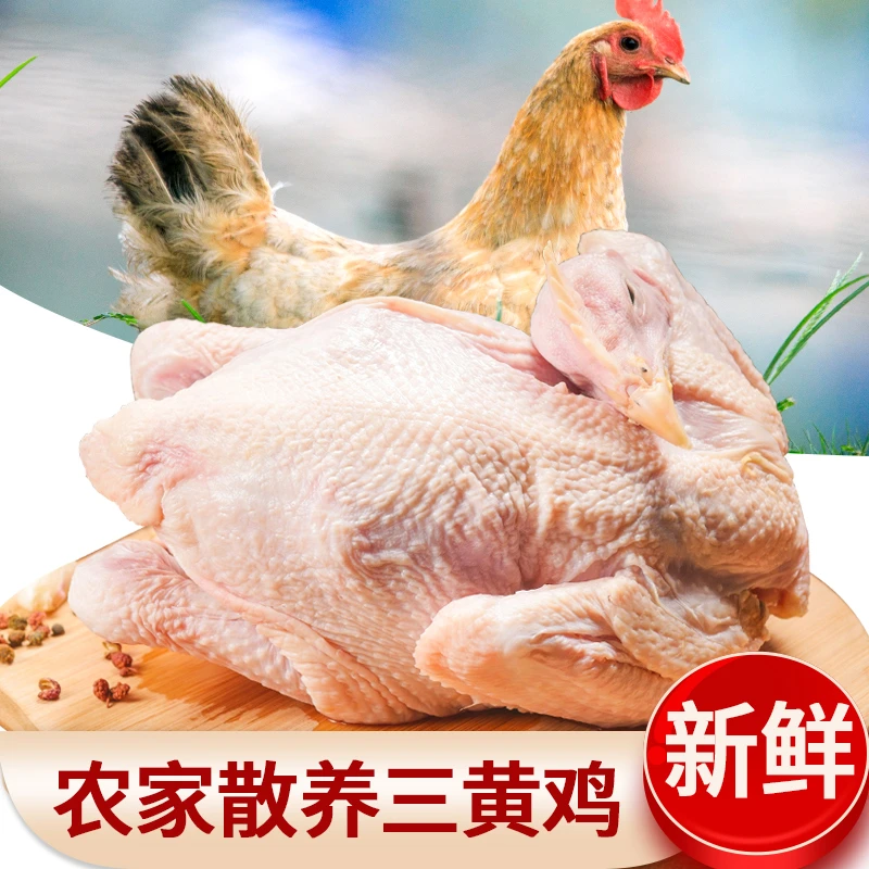 农家散养三黄鸡3只 鸡肉生鲜整只装 700-750g/只