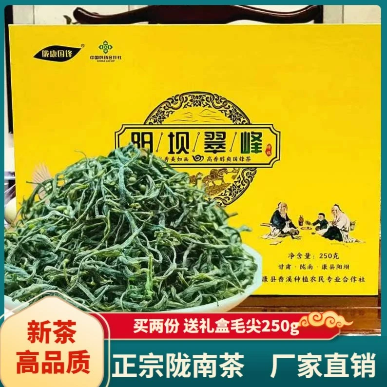 陇南茶叶2024年新茶高山毛尖优质浓香雨前绿茶阳坝特级翠峰盒装