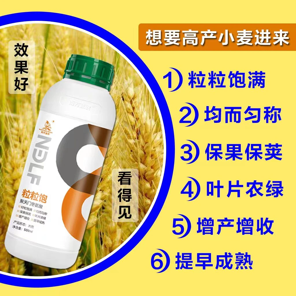 小麦氨基酸水溶肥生根壮苗控旺增产分蘖抗倒伏缩节灌浆麦黄金防治