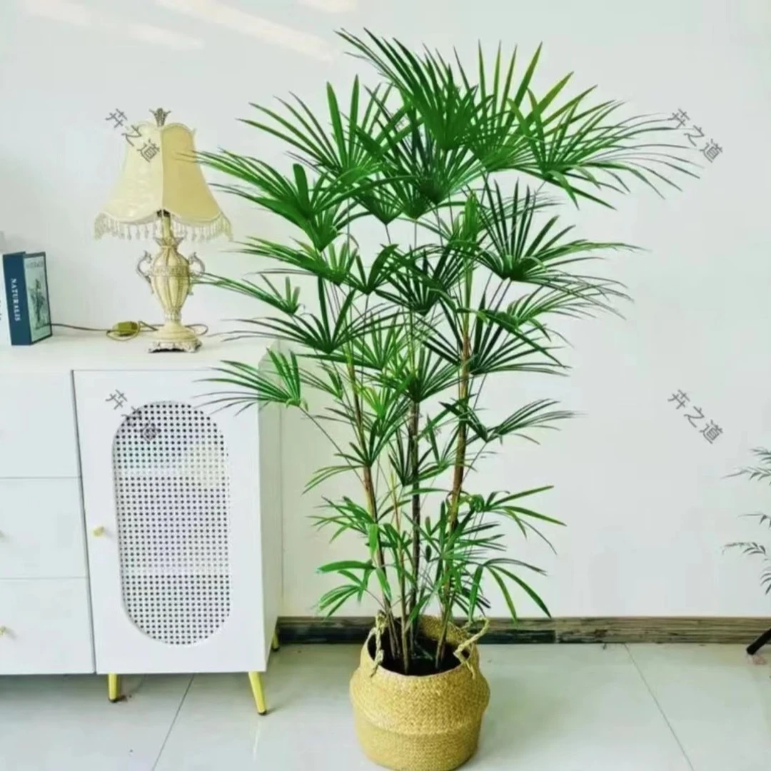 花之艺网红金山棕室内植物客厅落地植物办公室盆栽耐寒耐荫绿植