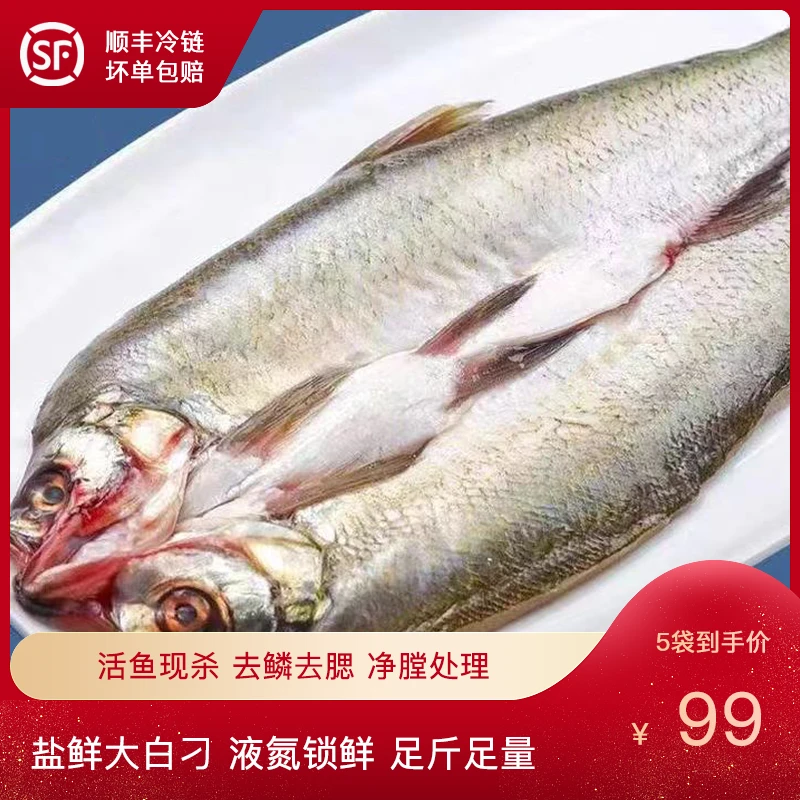 5条翘嘴白鱼鲜活鱼噘嘴鱼大白刁 净膛美味冷链