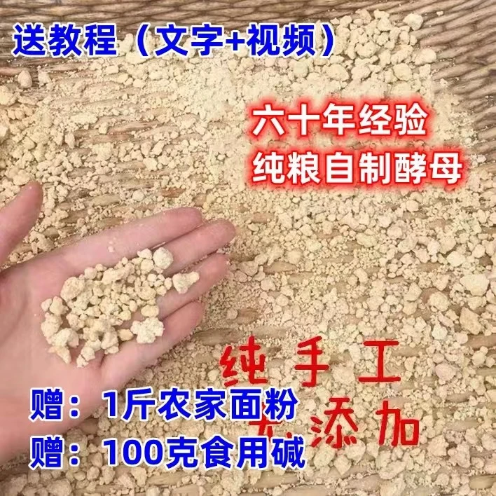 自制酵母酵子老面肥新鲜天然发酵粉200g纯手工传统老面头