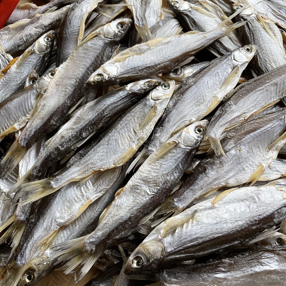 农家晾晒鱼干干货餐鱼干刁子鱼白条鱼500g