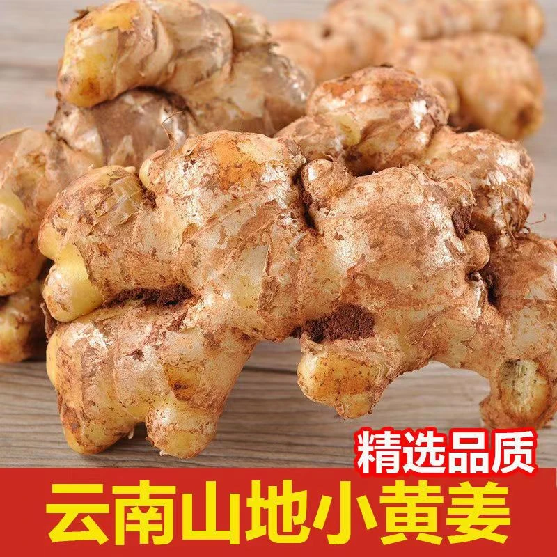 小黄姜云南罗平新鲜生姜现挖沙姜小黄姜高山老姜土姜包邮0.5/9斤