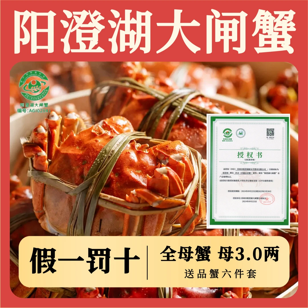 【活蟹现发】阳澄湖大闸蟹 全母蟹3.0两 8只 高标塘养