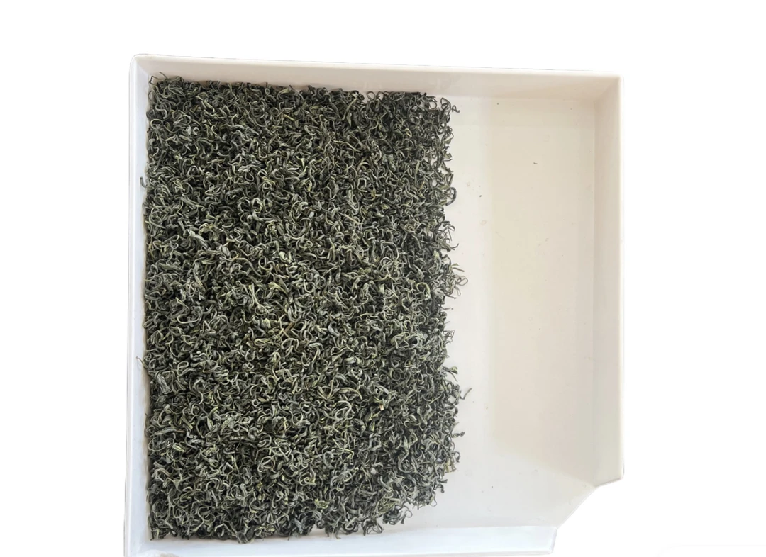 2024年新茶云雾绿茶回馈顾客豆香味浓郁耐泡型