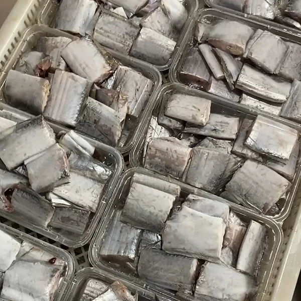 渤海湾带鱼-带鱼段中段-新鲜速冻海捕带鱼段