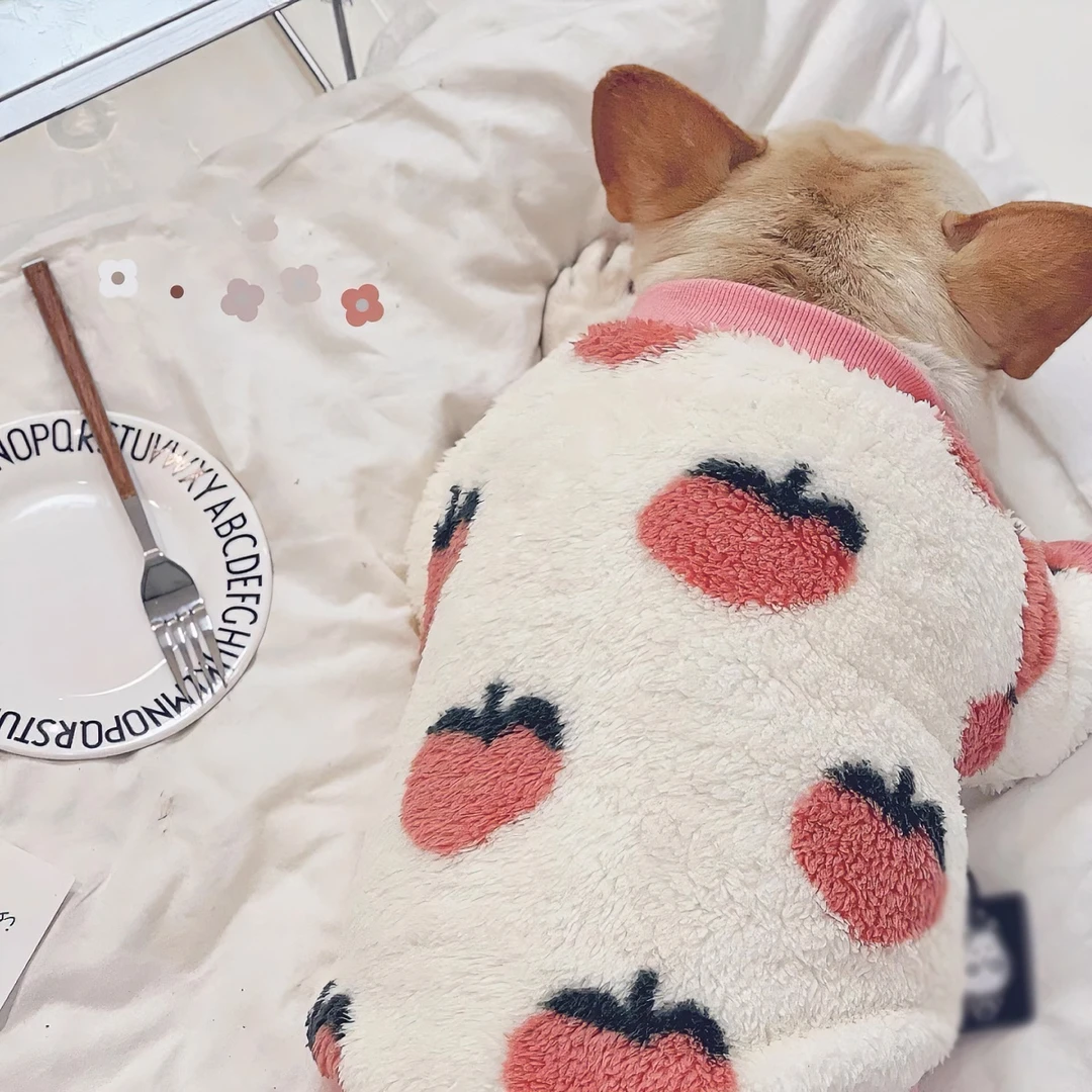 北极绒蜜桃圆领衫加厚保暖猫狗衣服雪纳瑞法斗棉衣外套宠物秋冬装