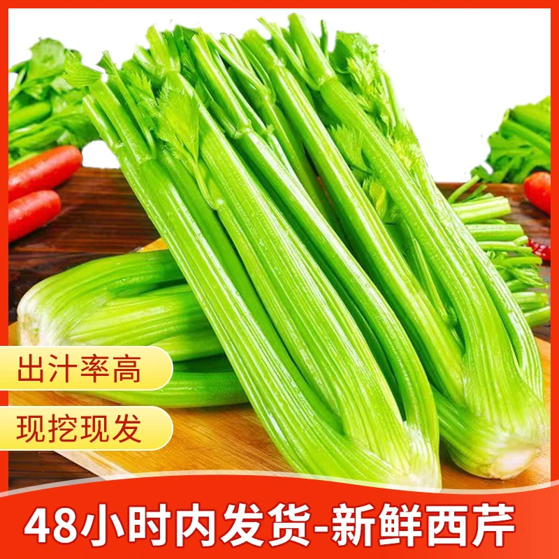 【顺丰包邮】新鲜现挖西芹本地芹菜榨汁地方青菜新鲜蔬菜露天西芹