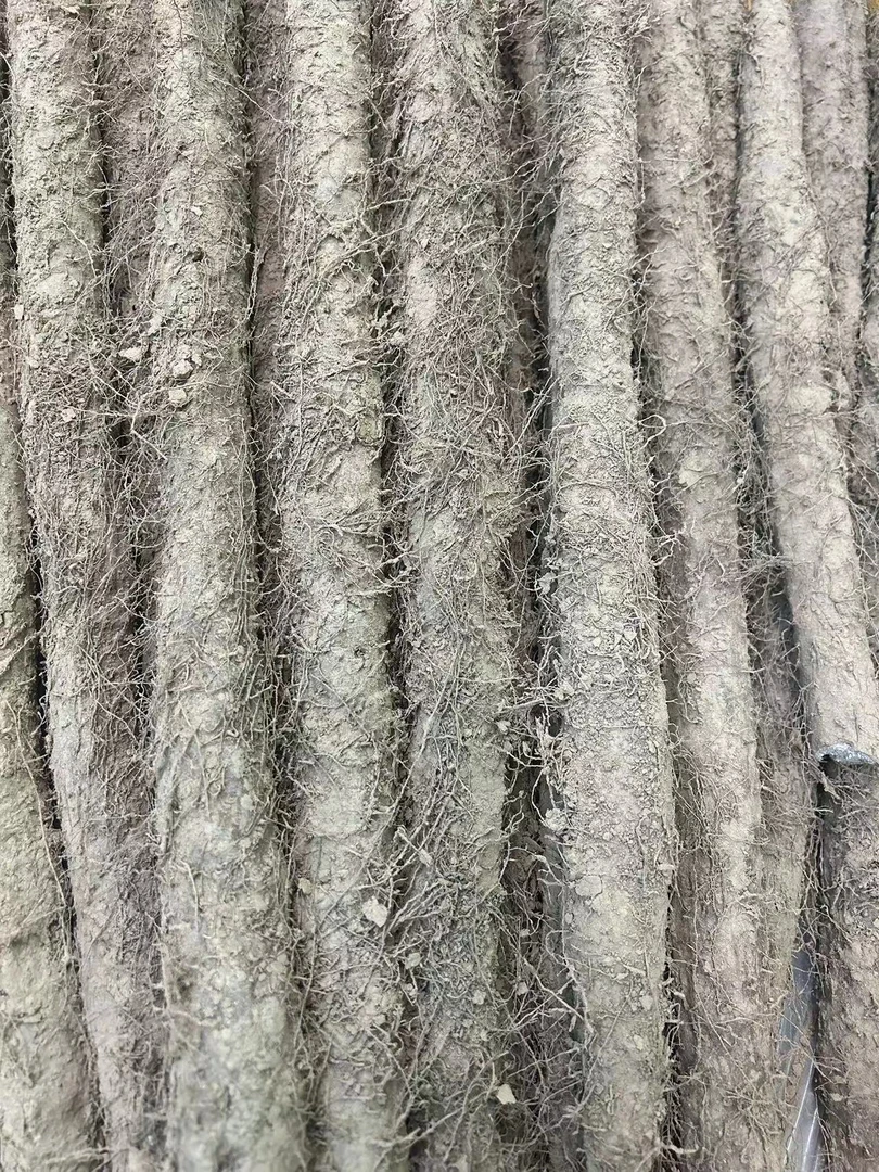 毛山药1根