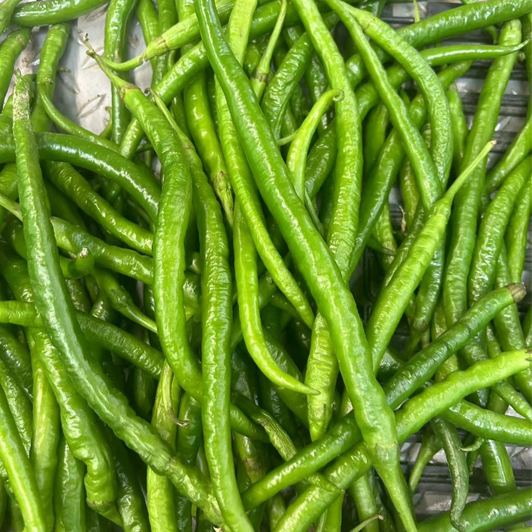 线椒250g
