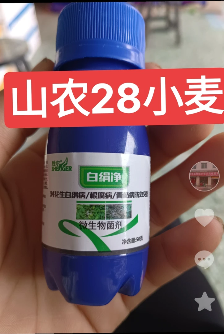 微生物菌剂山农28小麦