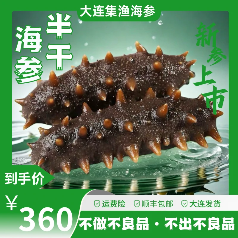 【入冬滋补】 底播中大火半干海参40-45头500g 拉缸盐海参大连发货