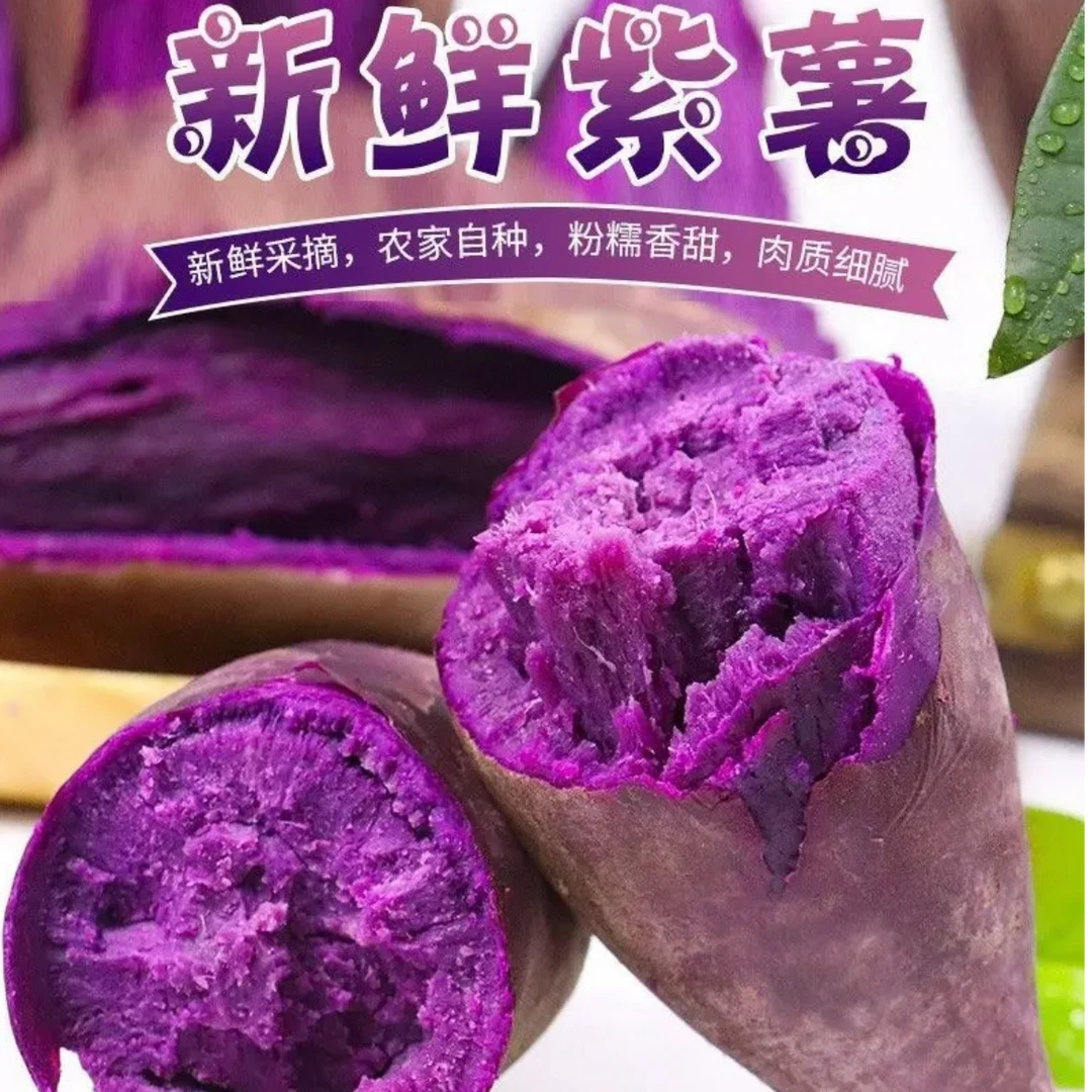 【单根50到100克】16枚小紫薯 新鲜紫薯红薯番薯自种紫心薯宝宝辅食