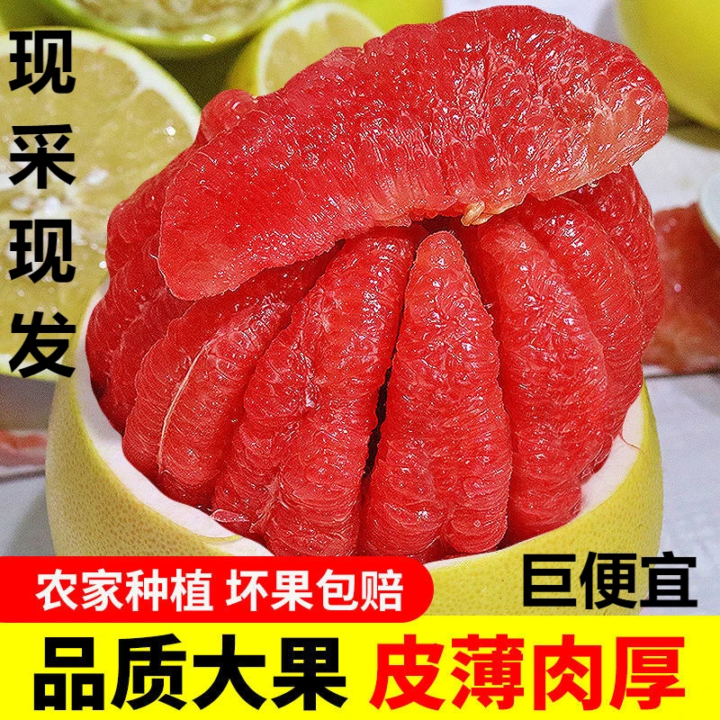 [红心柚子基地]红心蜜柚红肉甜三红柚新鲜孕妇应季水果现摘现发