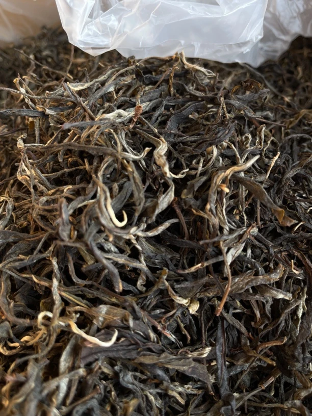 25年大雪山老树春毛茶500克 1900米高海拔普洱茶