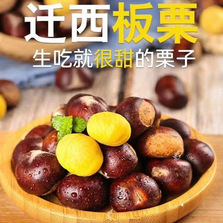 新鲜板栗（迁西板栗3113)香甜饱满正宗迁西板栗 栗香油栗 现货包赔