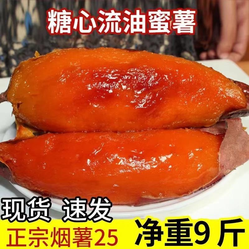 【雪予五折】只卖烟薯25号红薯小蜜薯1/5/9斤规格番薯蜜薯烤薯