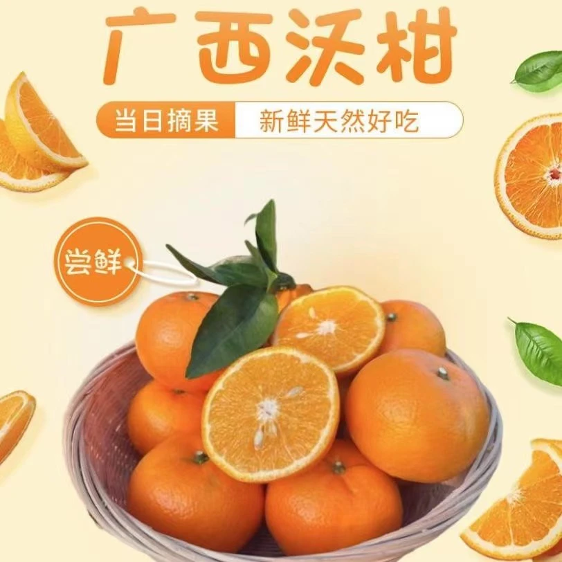 正宗广西武鸣沃柑【产地直发,新鲜到家】