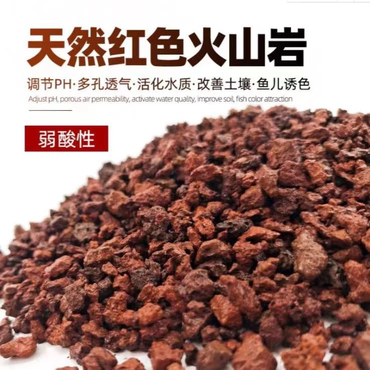 天然火山石兰花水族多肉专用5斤装