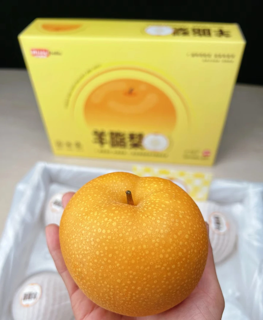 「白富美」羊脂梨4kg