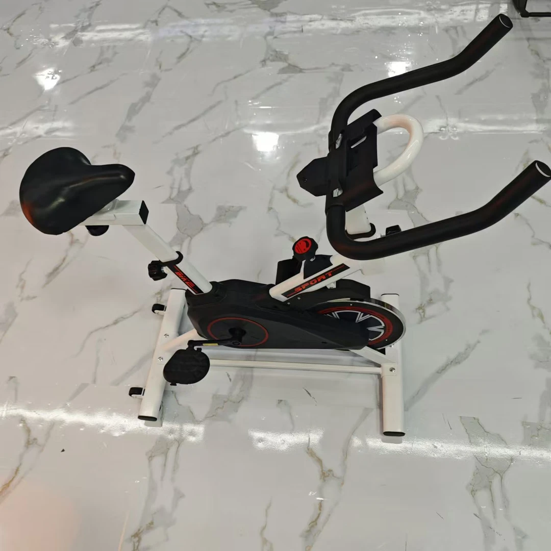 黑白动感单车家用健身器材锻炼运动自行车室内专业