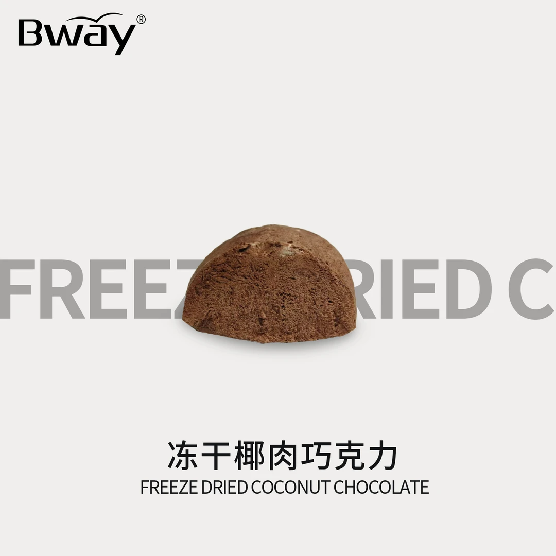 【Bway】冻干椰肉巧克力