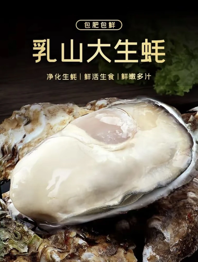 【乳山生蚝】7x蚝王个大肥美万邦供应链直发次日达