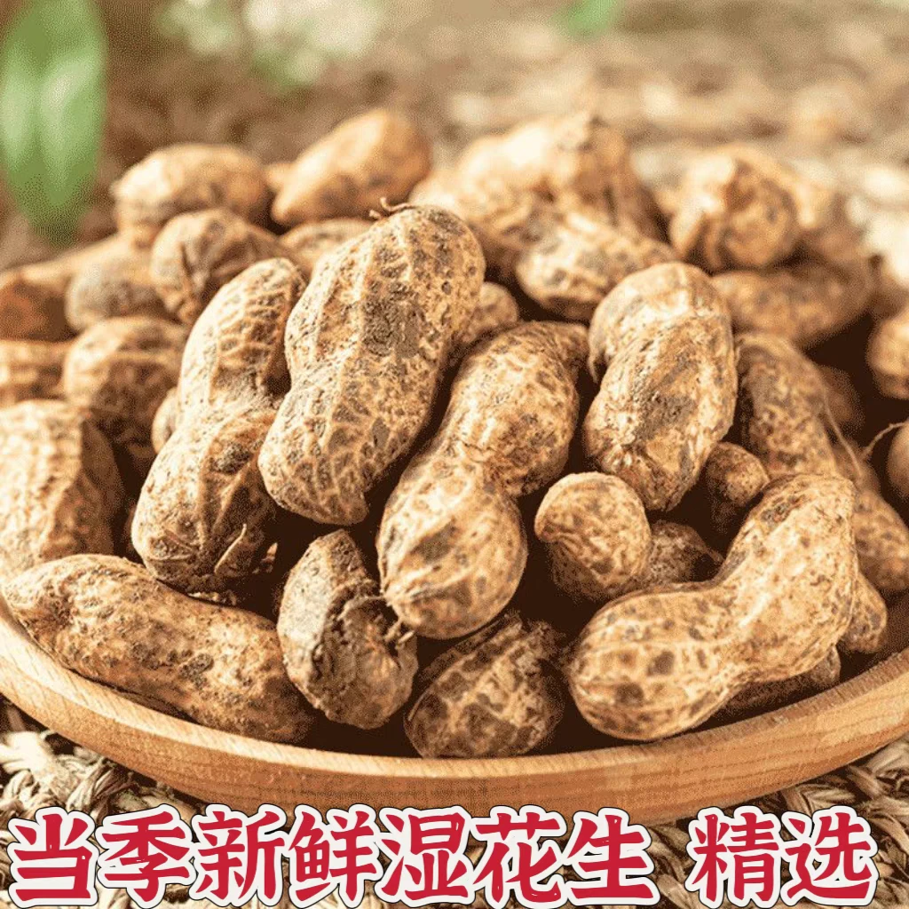 2024新鲜湿花生现挖带泥鲜花生带壳小花生米粉皮水煮生花生大花生