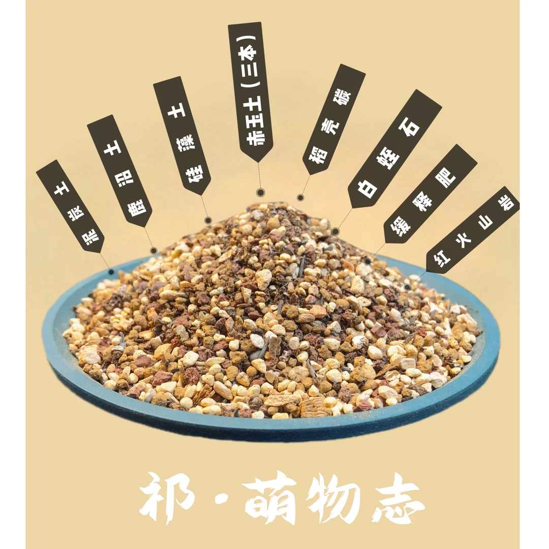 除尘颗粒肉锥种植营养土