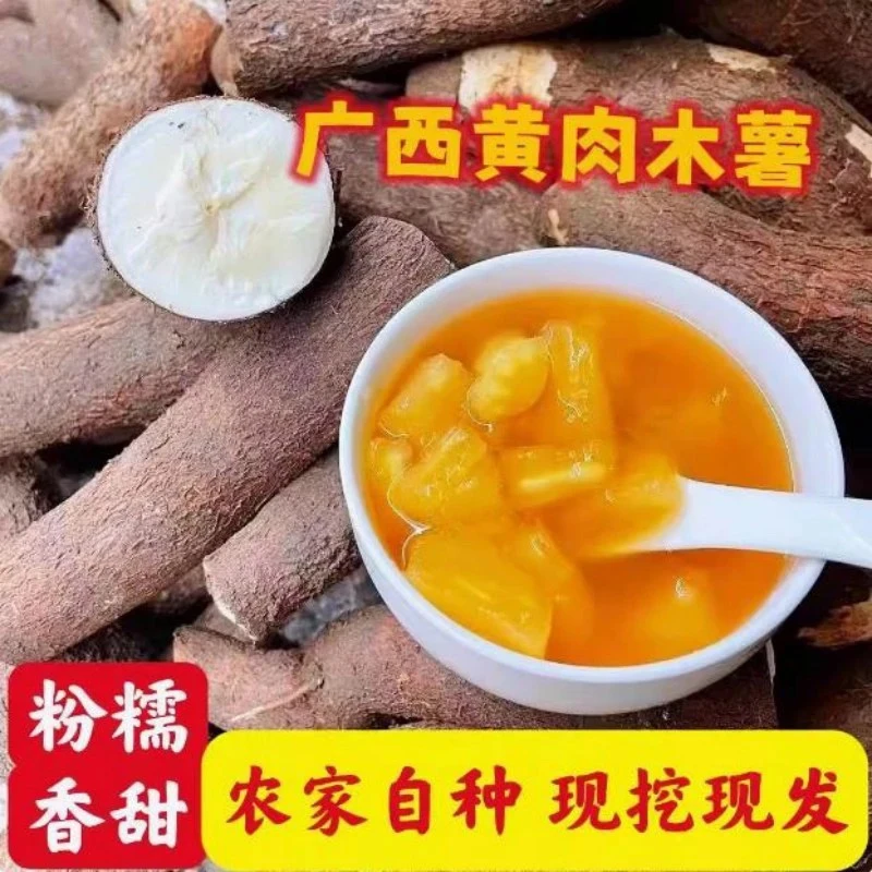 现货糖水店同款广西新鲜黄肉木薯现挖现发黄心粉软糯面包鸡蛋特产