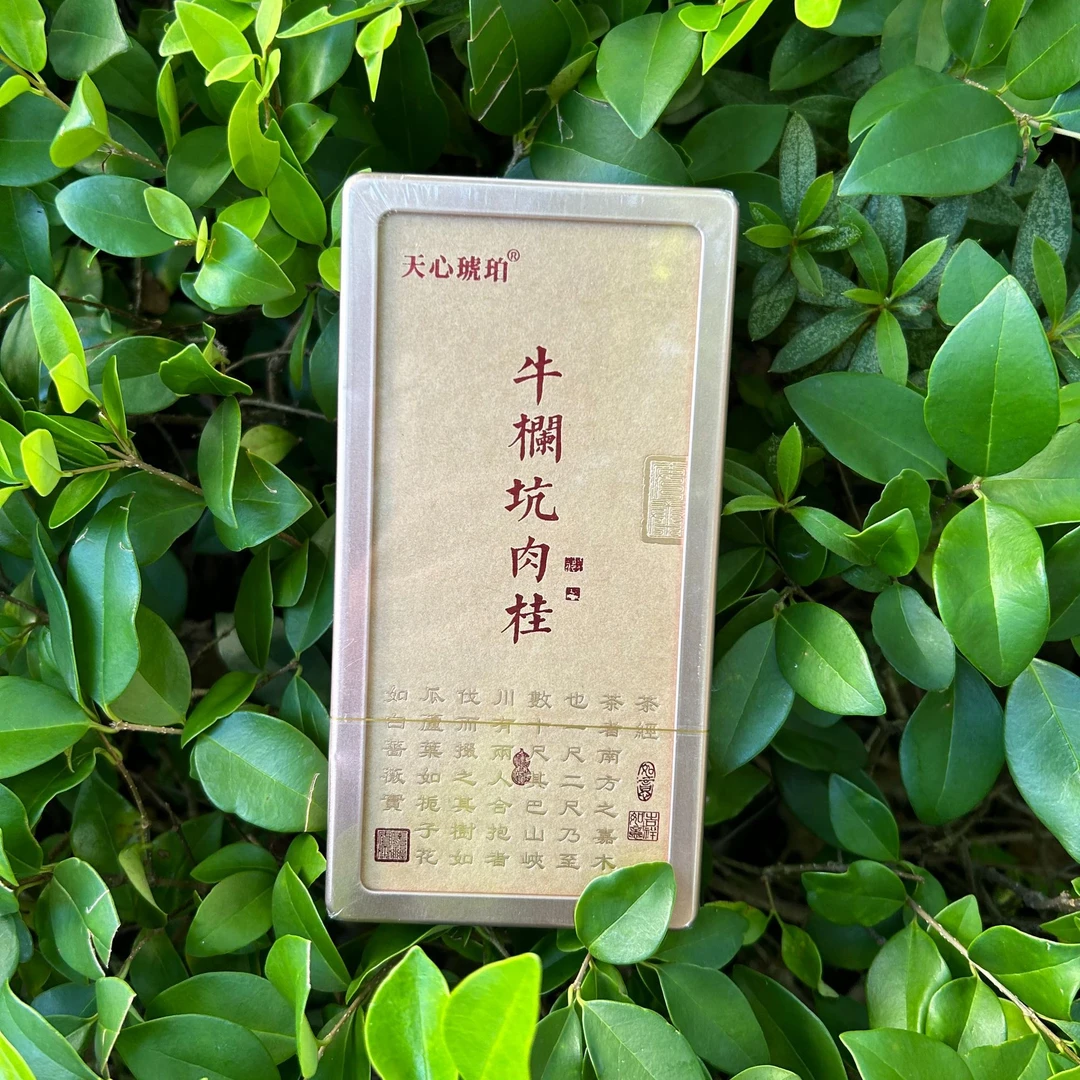 牛栏坑肉桂 五虎山 武夷岩茶 54克铁盒装 9克*6泡