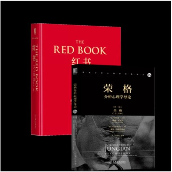 【粉丝专享】荣格（套装共2册）红书+荣格分析心理学导论 解读
