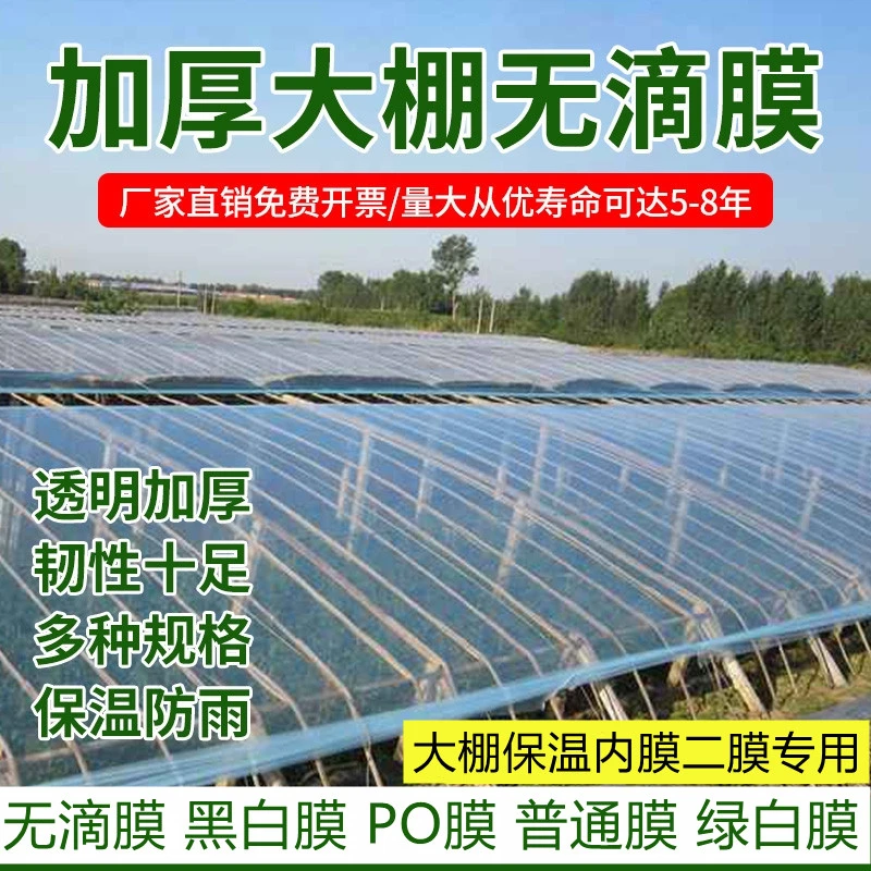 大棚围裙膜风口膜围边膜围膜底膜大棚膜无滴膜小拱棚膜长寿加厚防