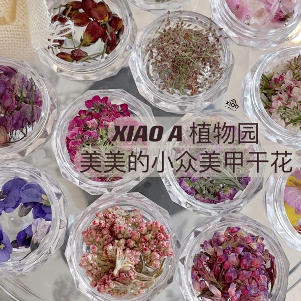 美甲干花饰品小众花瓣花叶子多色押花DIY指甲装饰品贴片
