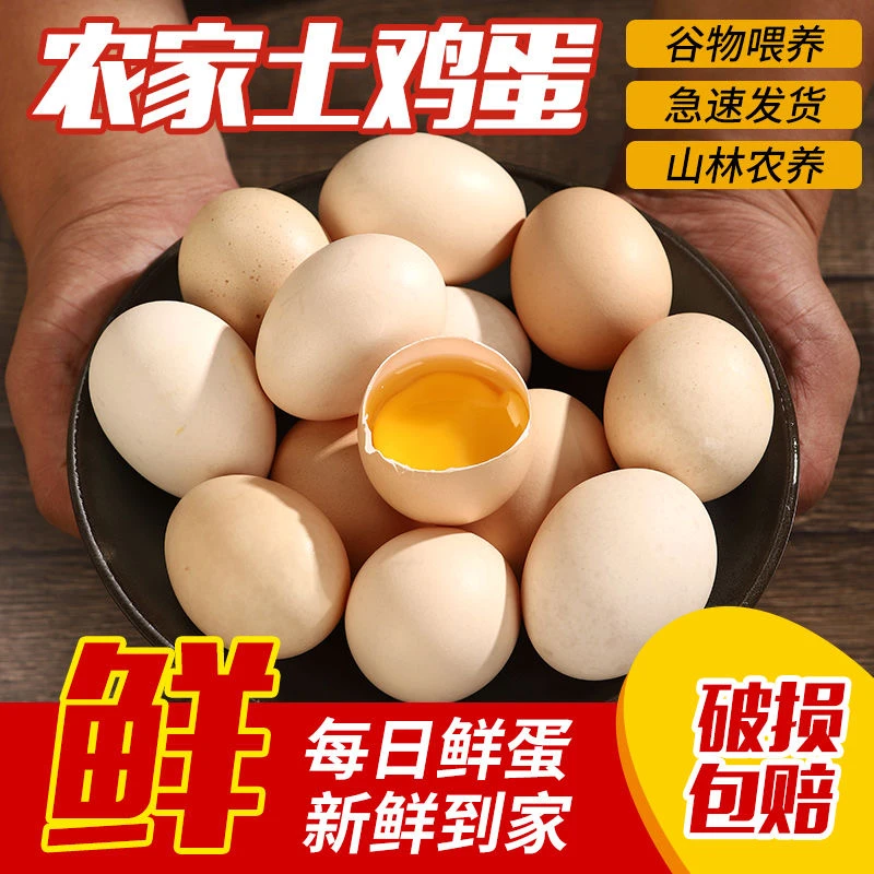 土鸡蛋初产蛋月子蛋笨鸡蛋新鲜营养包邮新店福利10枚农家散养营养