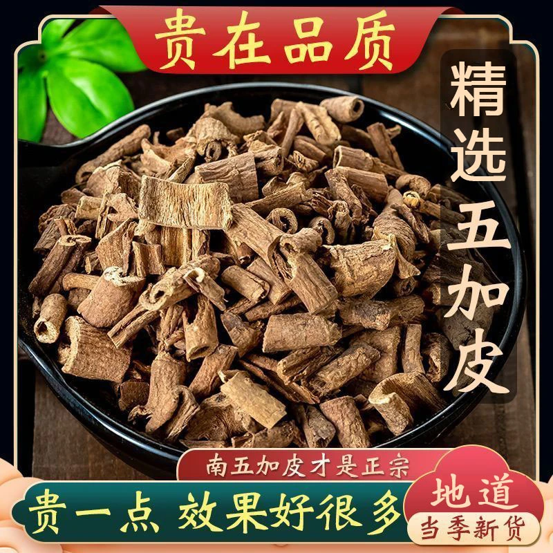 五加皮 精选新货干净正品五加皮地道农产品正品精选泡酒水100g