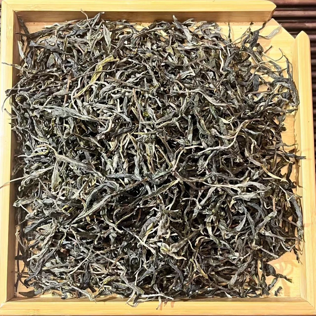 2024年大浪坝 散茶  生茶 普洱茶 春