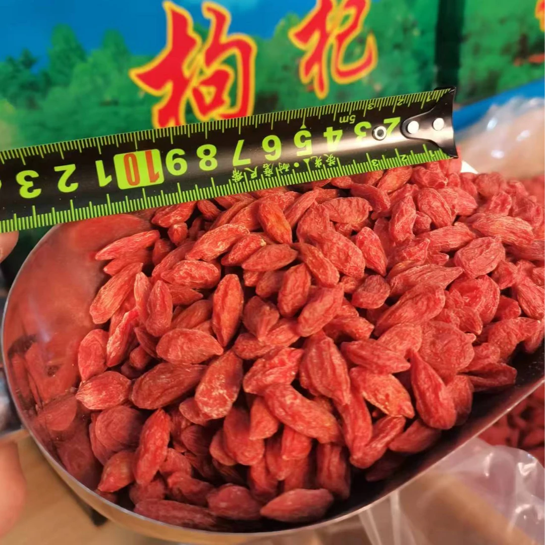 安国本草推荐枸杞