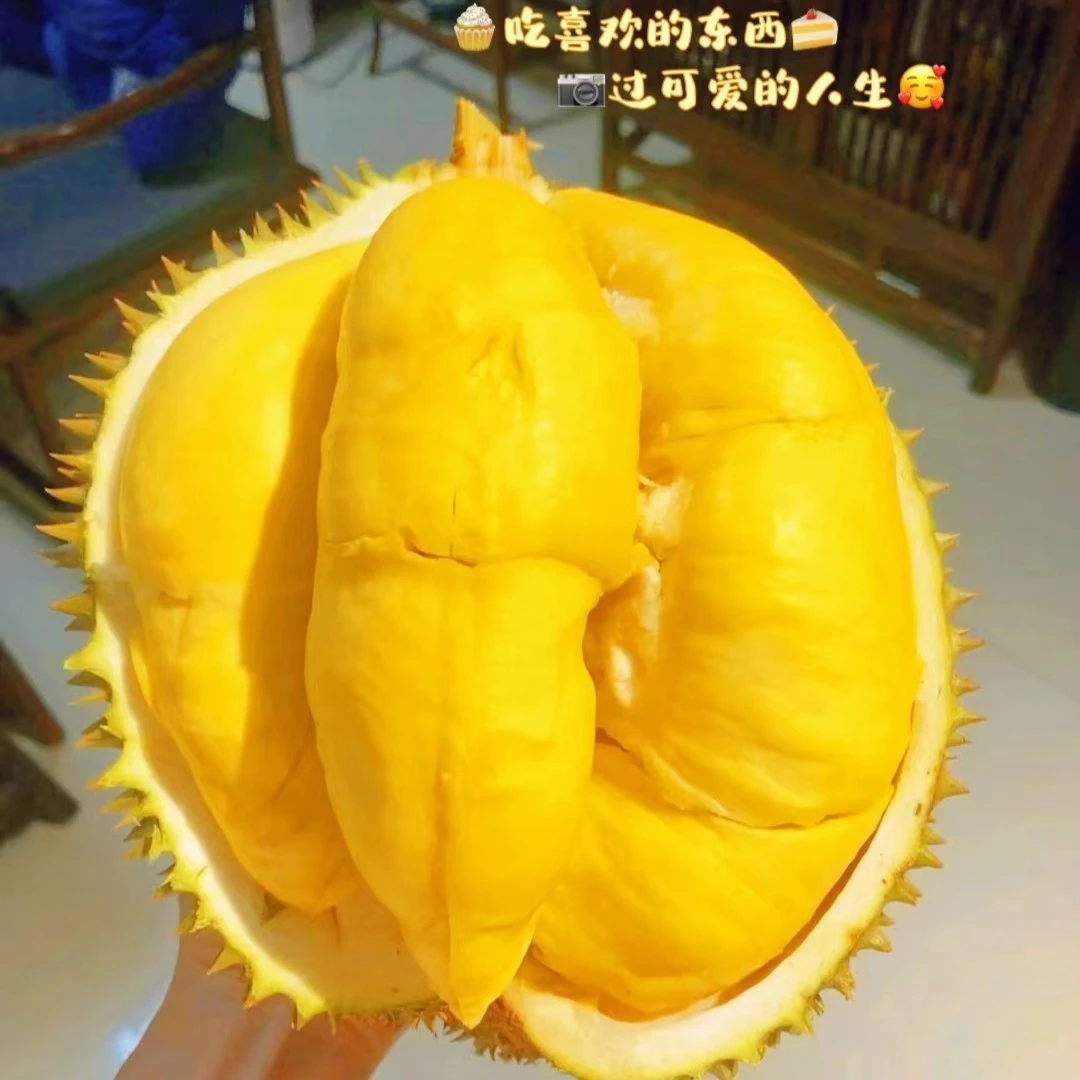 【二号】长沙同城配送小时达金枕榴莲
