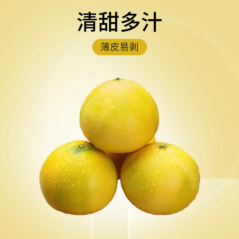 正宗黄金葡萄柚新鲜应季清甜柚子薄皮孕妇黄金柚爆汁香甜果粒